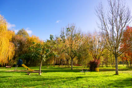 Parc lye