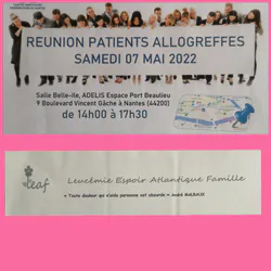 La leucémie - La greffe -
