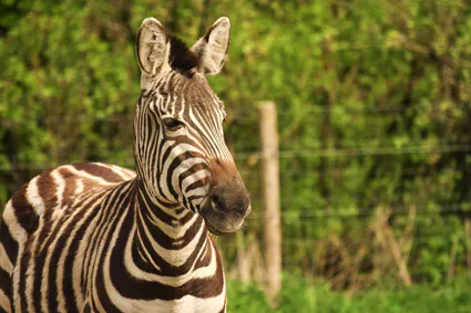 343098186 208257058733343 1547336287980293573 n 1