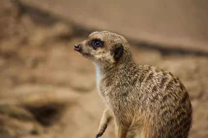 343440587 1403481887052050 8395060727113116795 n