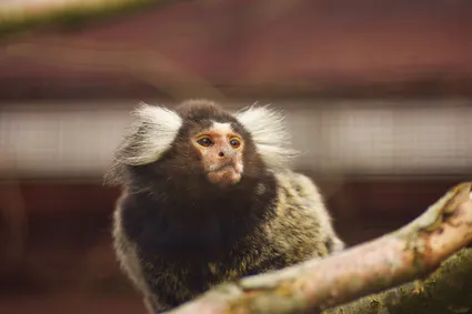 345026053 2045897339084020 4595246266116075216 n