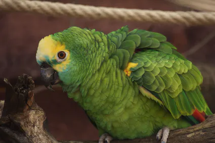 339935691 1230826021159671 3174154762414615593 n 1