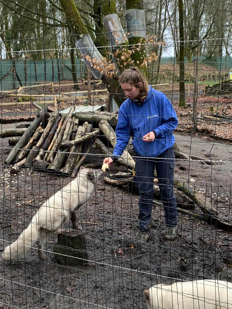 387561896 907777897655292 7654423986309397284 n