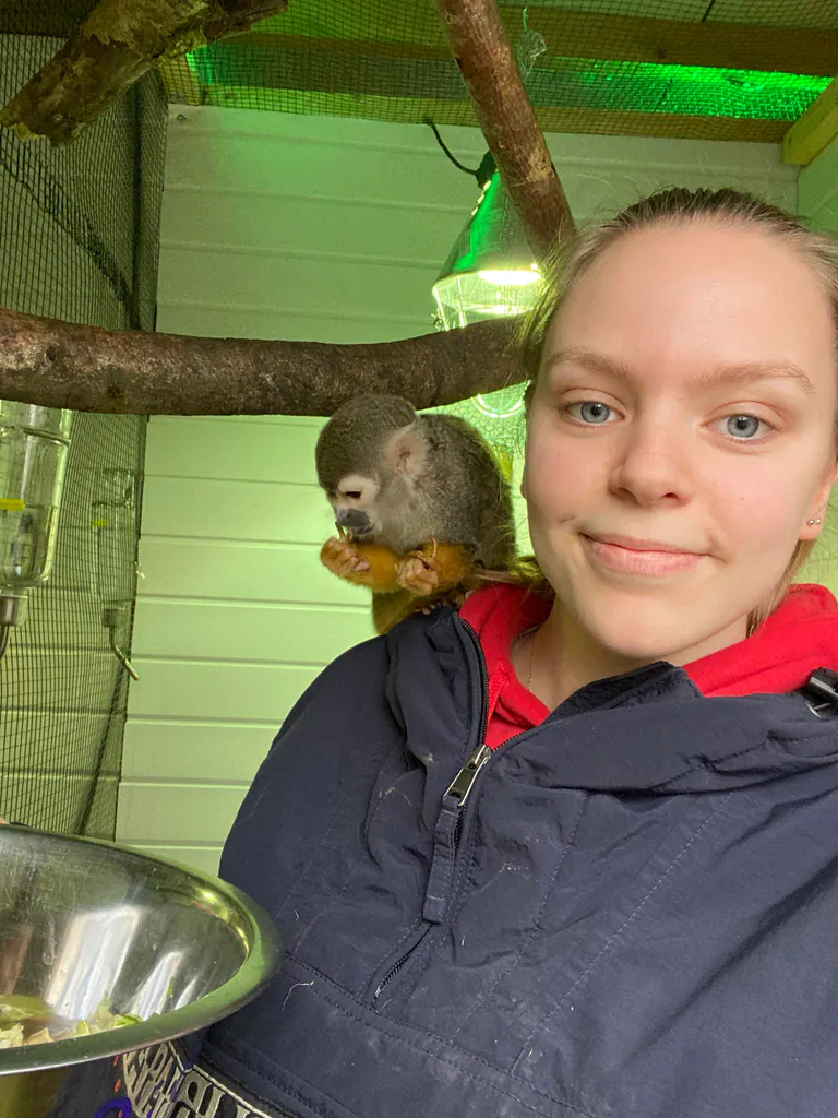 5c83b856 8a6c 476b 8db5 440050362e2c