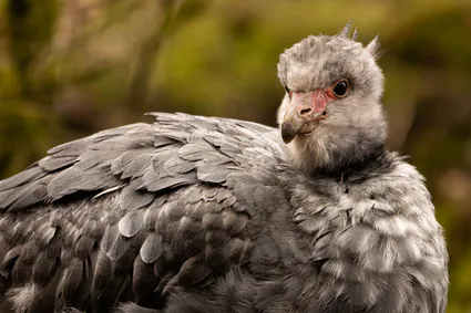 B17a7820 avec accentuation bruit