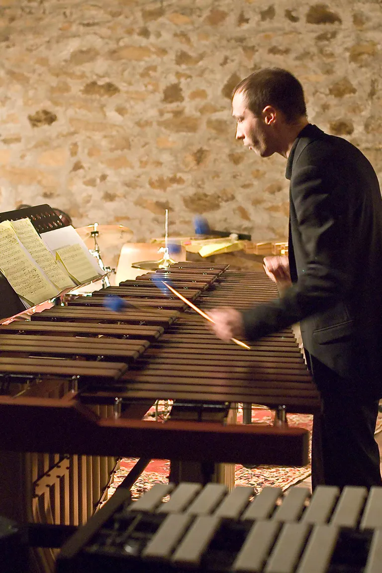 Saxiana bl63 2010 19 r