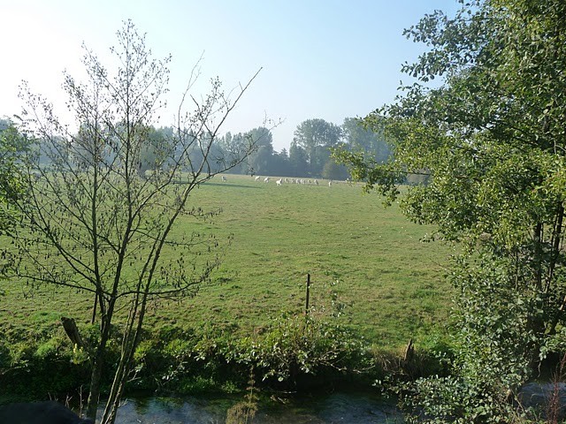 La vallee de l ecaillon 009
