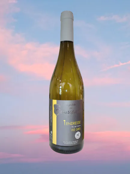 Img 20230605 114910 removebg preview 1