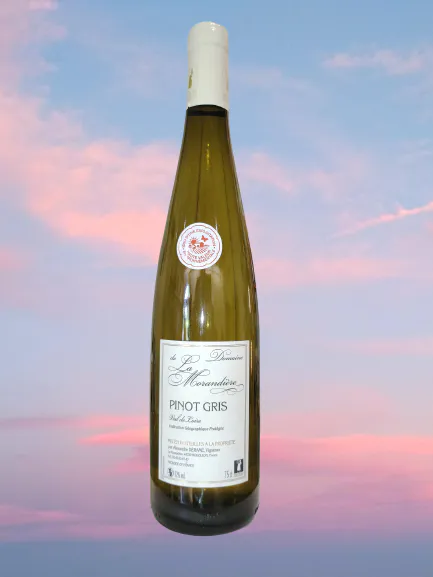 Img 20230605 114846 removebg preview 1