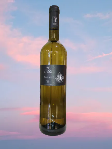 Img 20230605 114816 removebg preview 2