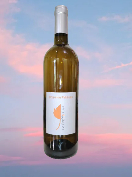 Img 20230605 114745 removebg preview 1