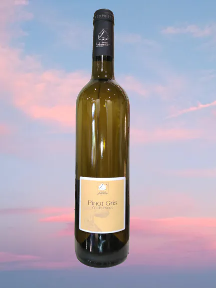 Img 20230605 114714 removebg preview 1