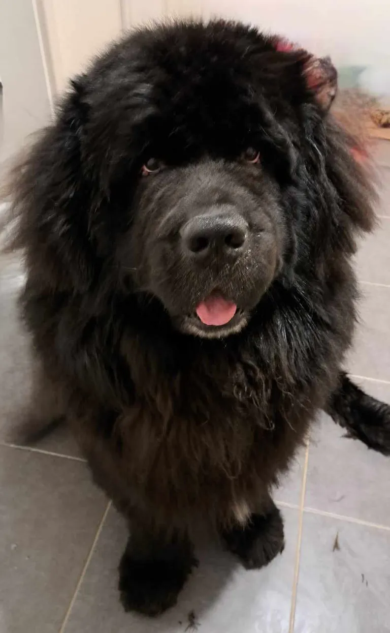 375668275 1016978669441845 6949633322386199518 n