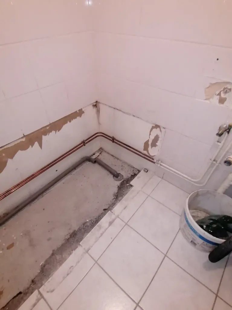 Salle de bain apres demontage baignoire et lavabo a vertou