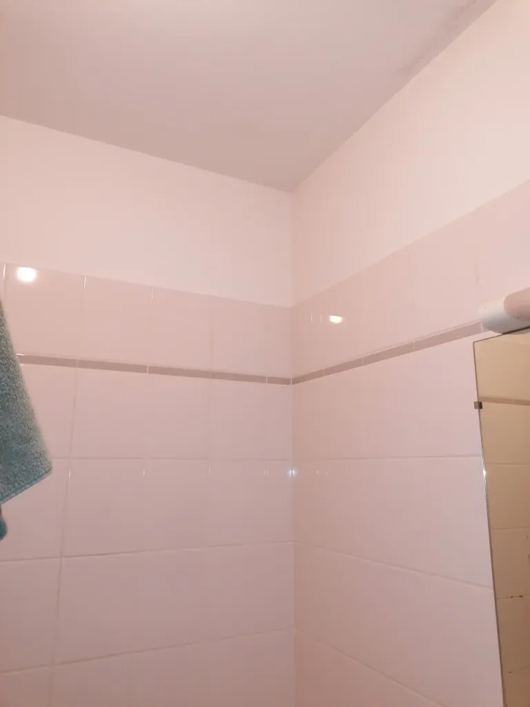 Depose faience murale salle de bains a vertou 44