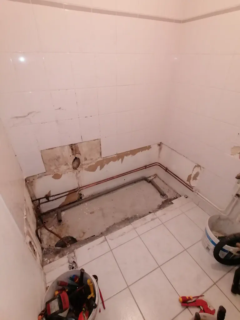 Demontage baignoire lavabo miroirs luminaires a vertou