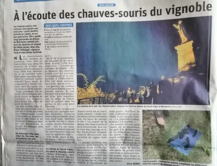 Dna lazuri lissner chiro01 09 2021