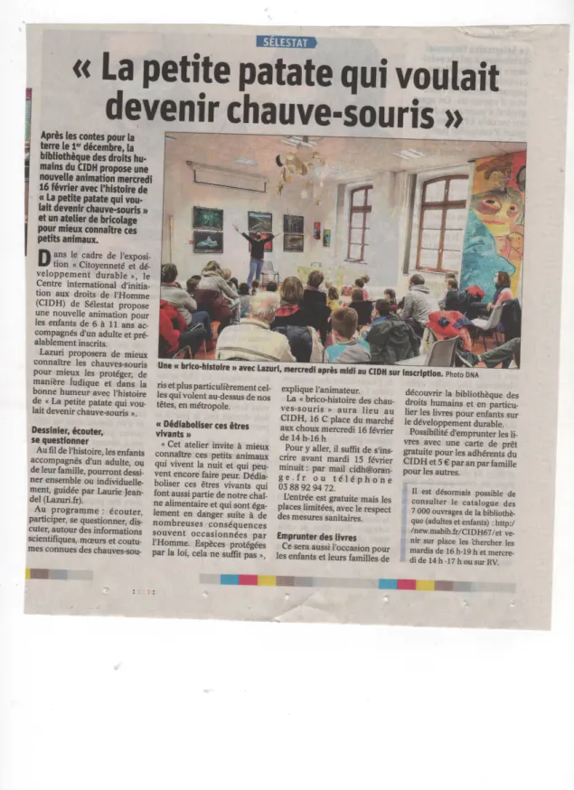 Article cidh fe vrier2022