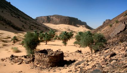 Sahara mauritanie 2cv dunes gps de sert cyril et sylvie palmeraie 3