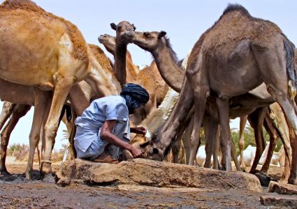 Sahara mauritanie 2cv dunes gps de sert cyril et sylvie puits 3 copie