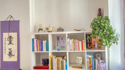 Salle reiki 2025 bibliotheque 3