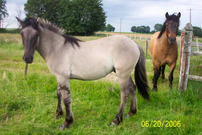 Mes images290406 034