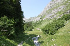 Vallon des Morteys dans la réserve naturelle du Vanil Noir en Suisse
