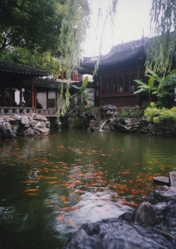 Jardin Shangai2