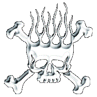 PE Logo Skull