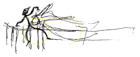 Lights ws