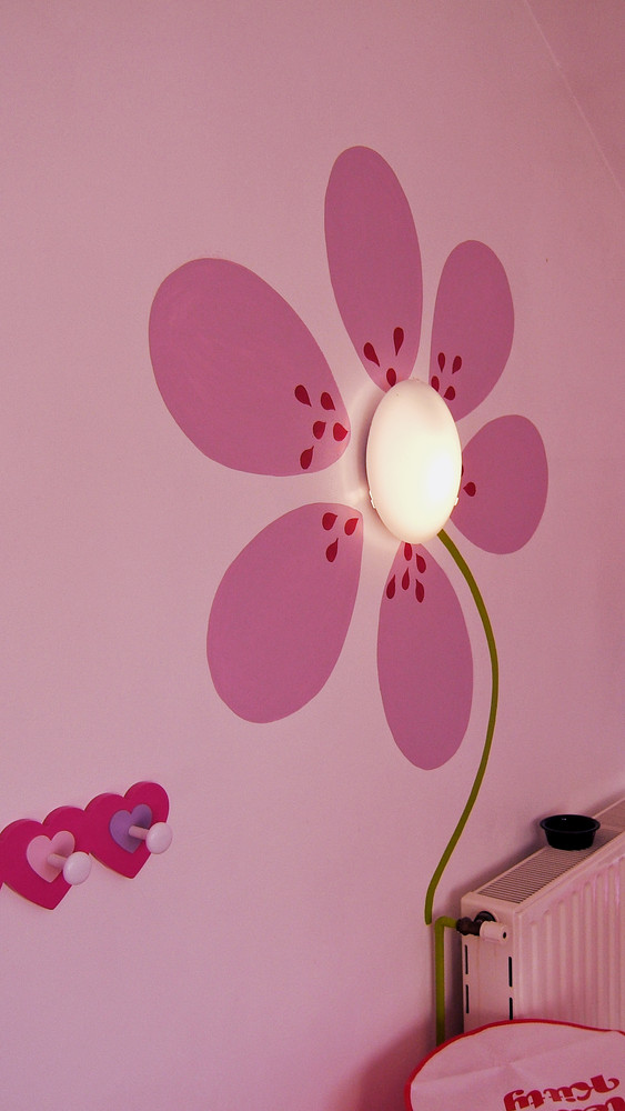 Peinture décorative sur mur/Chambre enfant/www.agnesbichat.com