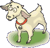Chevre4