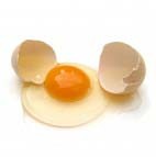 Oeuf