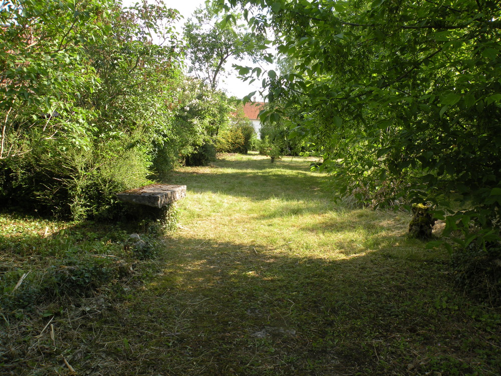 Vue jardin