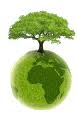 Arbre