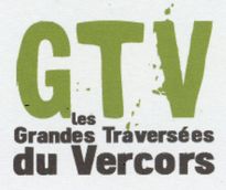 GTV 2 vert et noir