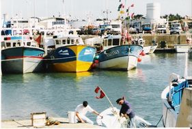 Saint Gilles Croix de Vie est réputé pour son port de pêche. Sa spécialité est la pêche à la sardine