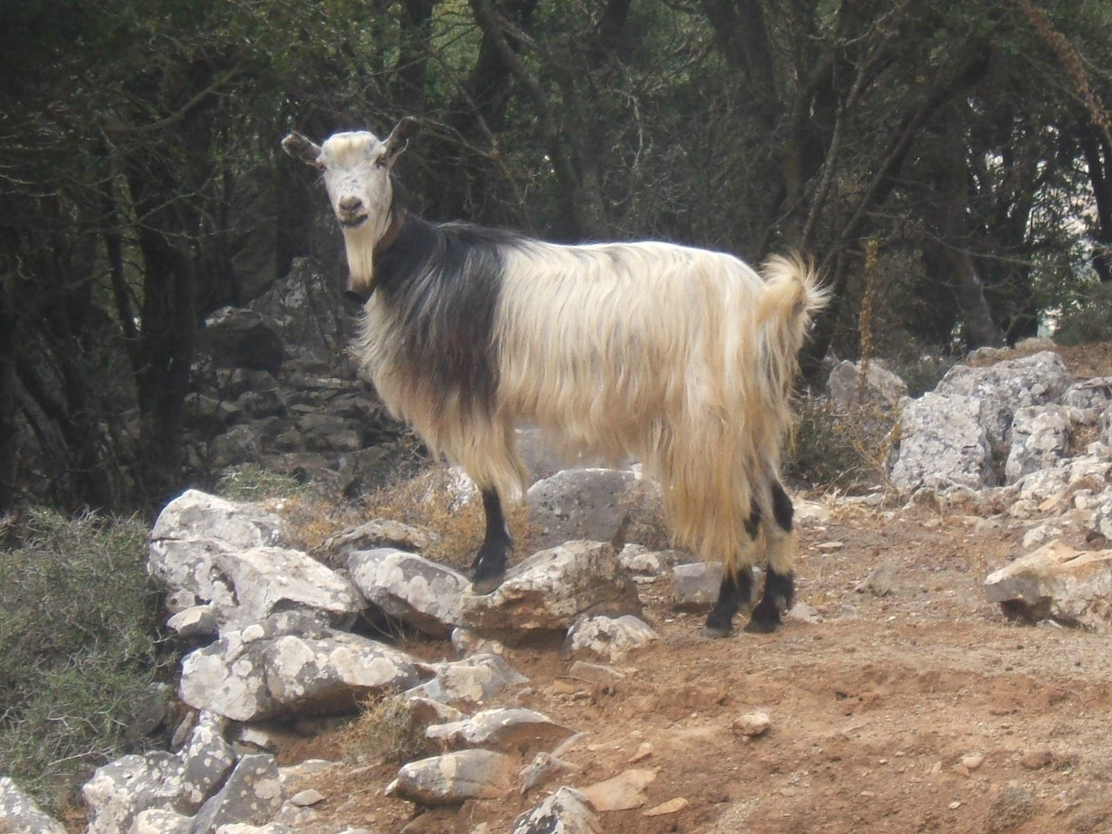 JuinaOctobre2010 124