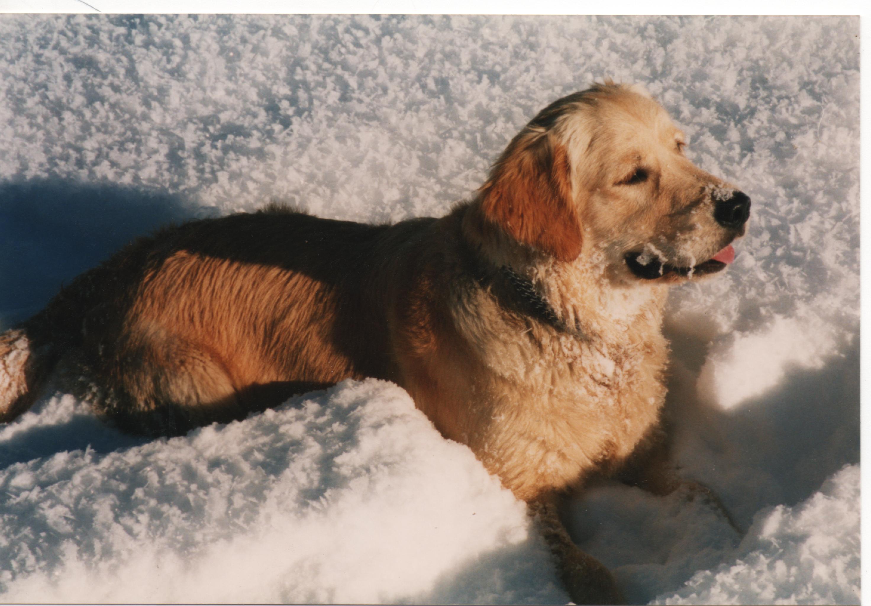 Bonne neige ! 