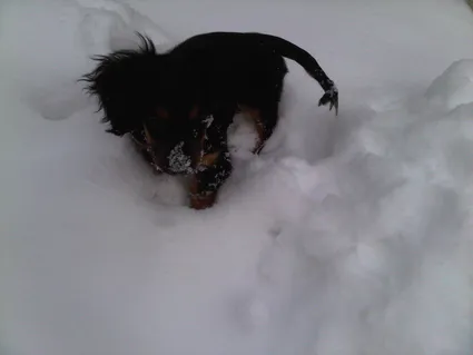 Img00086 20110129 1312