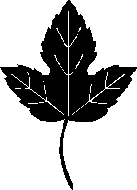 Tytryety