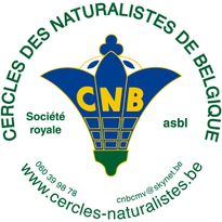 Logo CNB complet