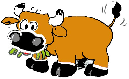 Dessin vache maraichine