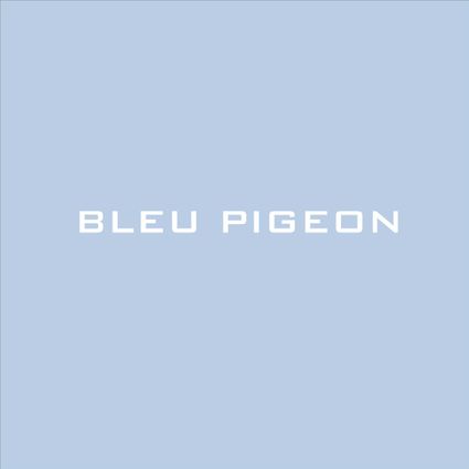 B pigeon