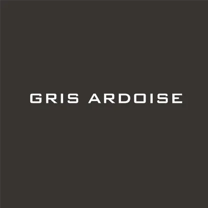 Gris ardoise