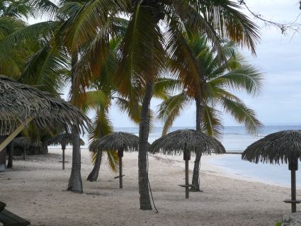 Guadeloupe mai 2011 030
