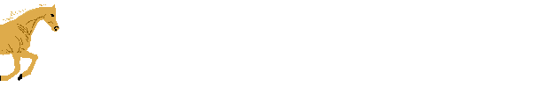 Ligne 497
