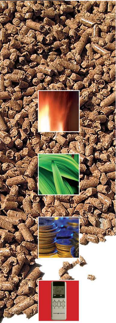 Granule bois