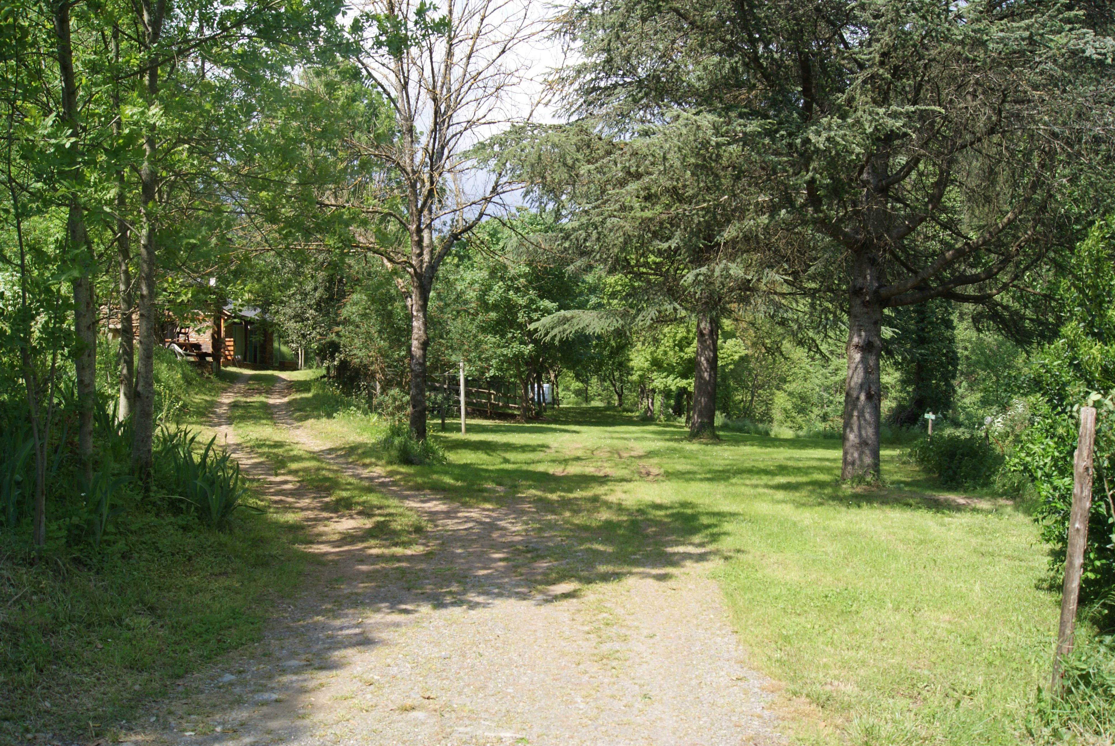 Dsc01357