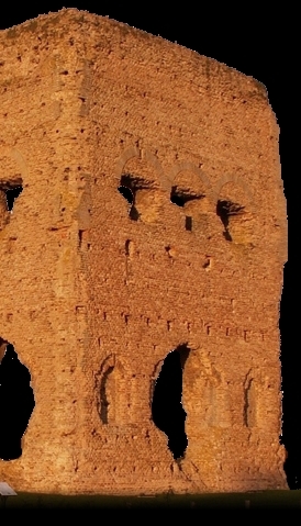 Janus